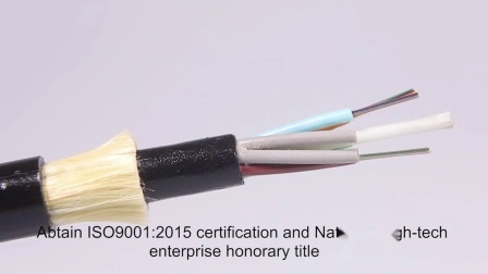 Interni/Esterni 1 2 4 Core G657A1/A2 GJYXFCH FRP/Stahldraht Single Mode FTTH Drop Flat Optic/Glasfaserkabel